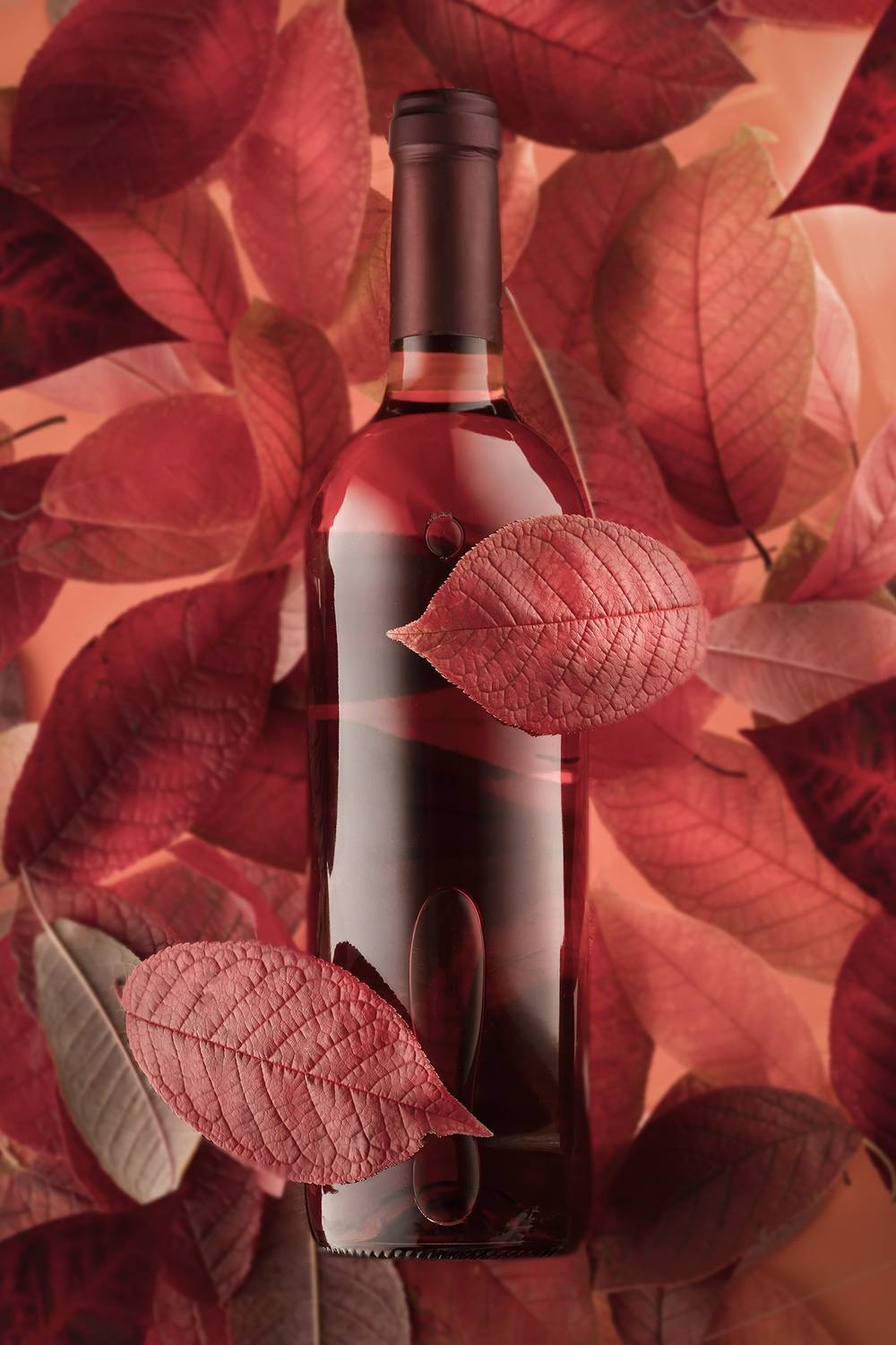 red, черемуха, вино, vine, осень, натюрморт, алкоголь, багровый, бутылка, предметка,, Разгуляев Владимир