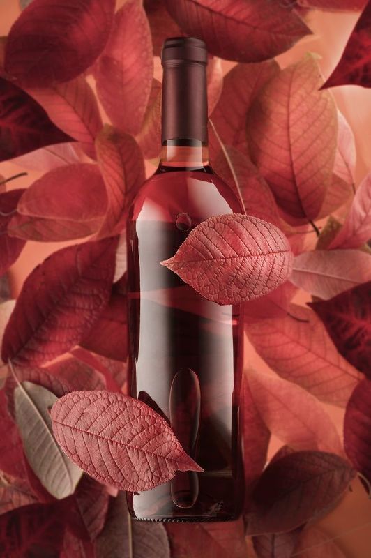 red, черемуха, вино, vine, осень, натюрморт, алкоголь, багровый, бутылка, предметка,  фото превью