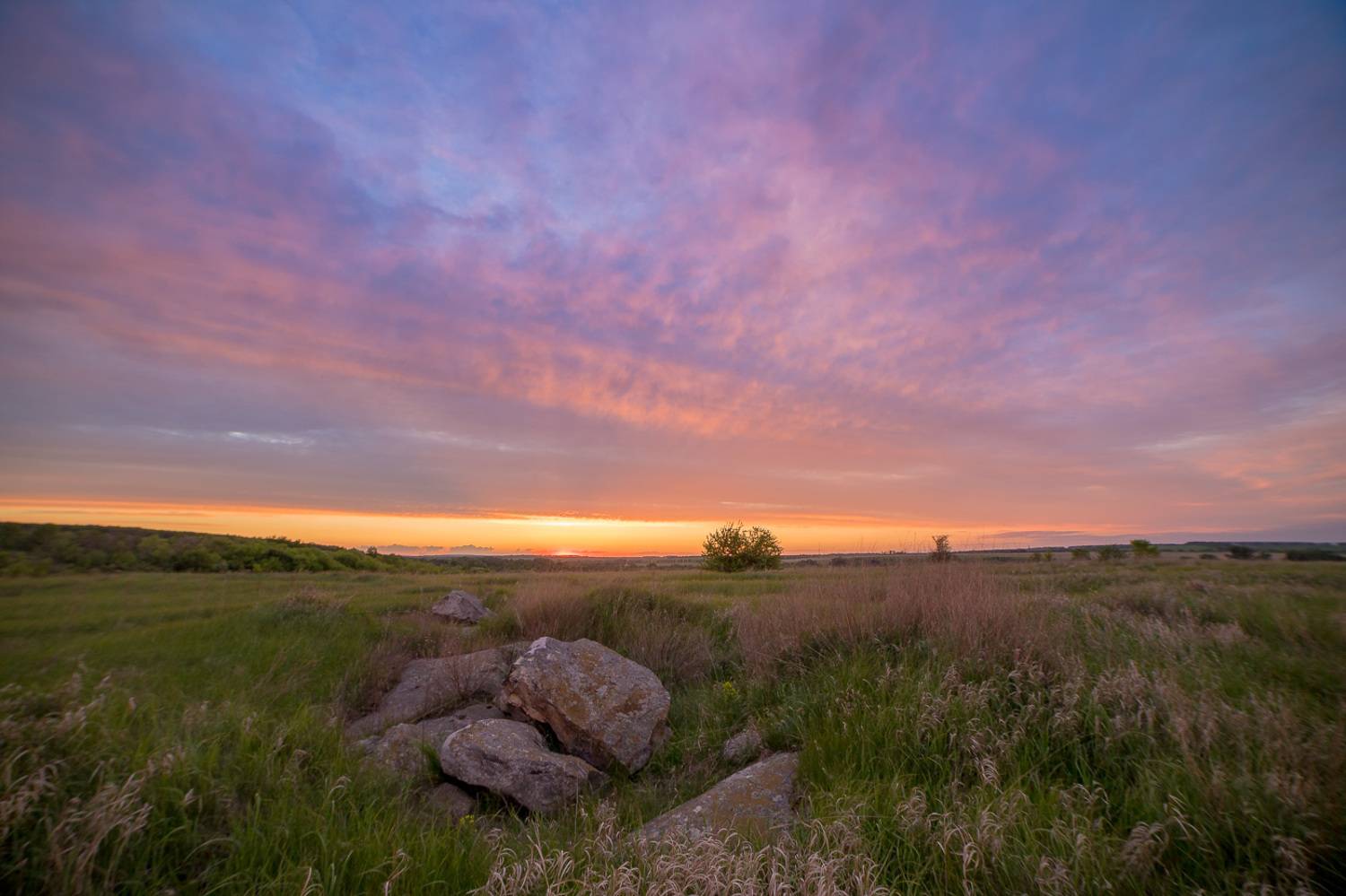 пейзаж, степь, весна, май, landscape, spring, steppe, Алексей Юденков