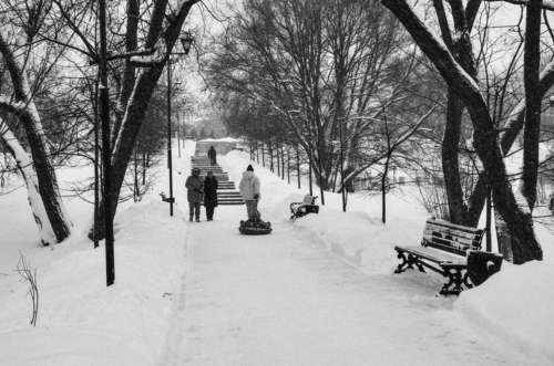 Прогулка в парке Лопасня-Зачатьевское, город Чехов. 