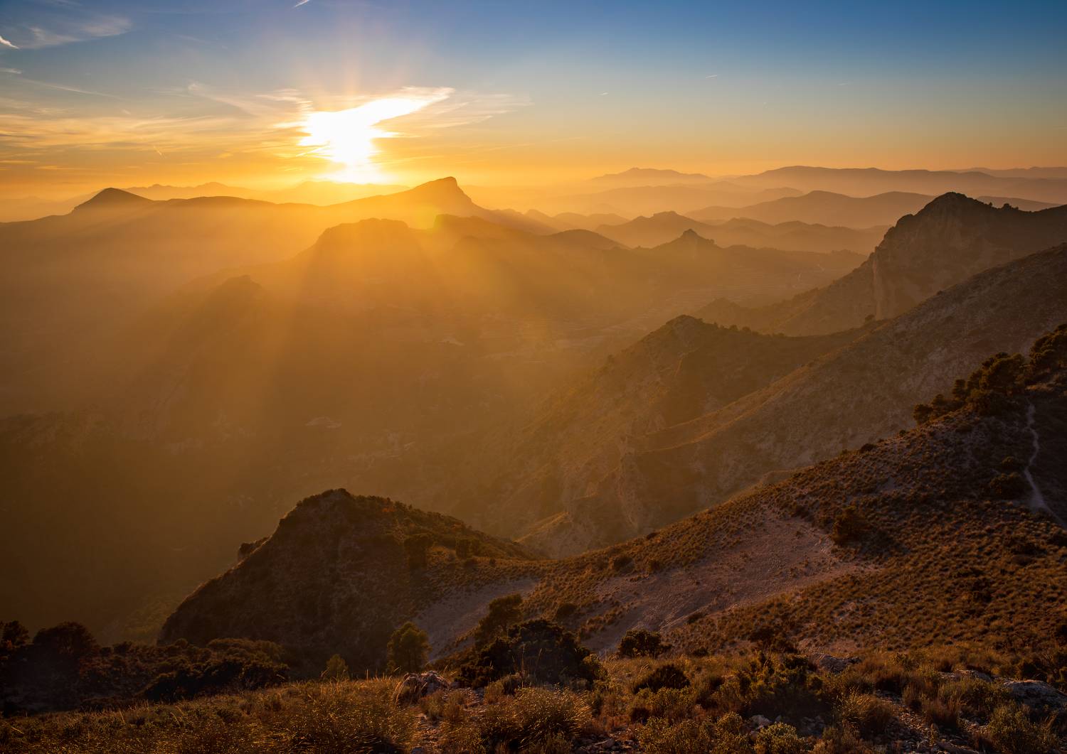 , Алекс Римский