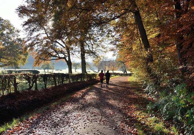 Осенний марафон фото превью