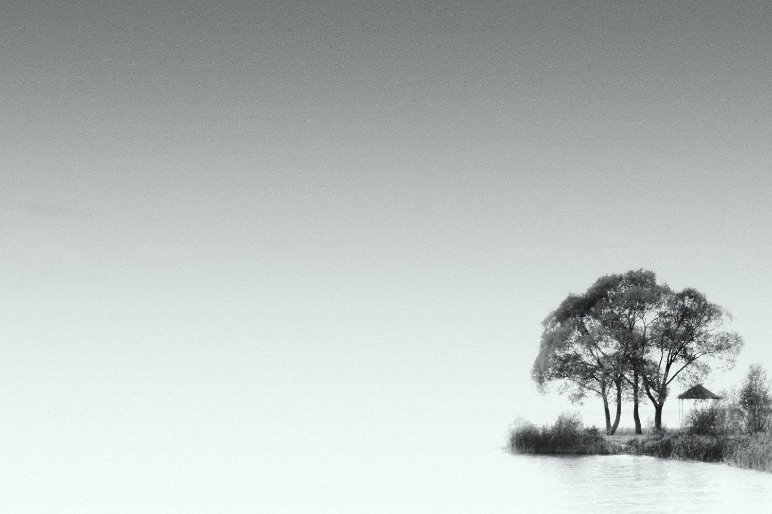 , Оксана Коновалова