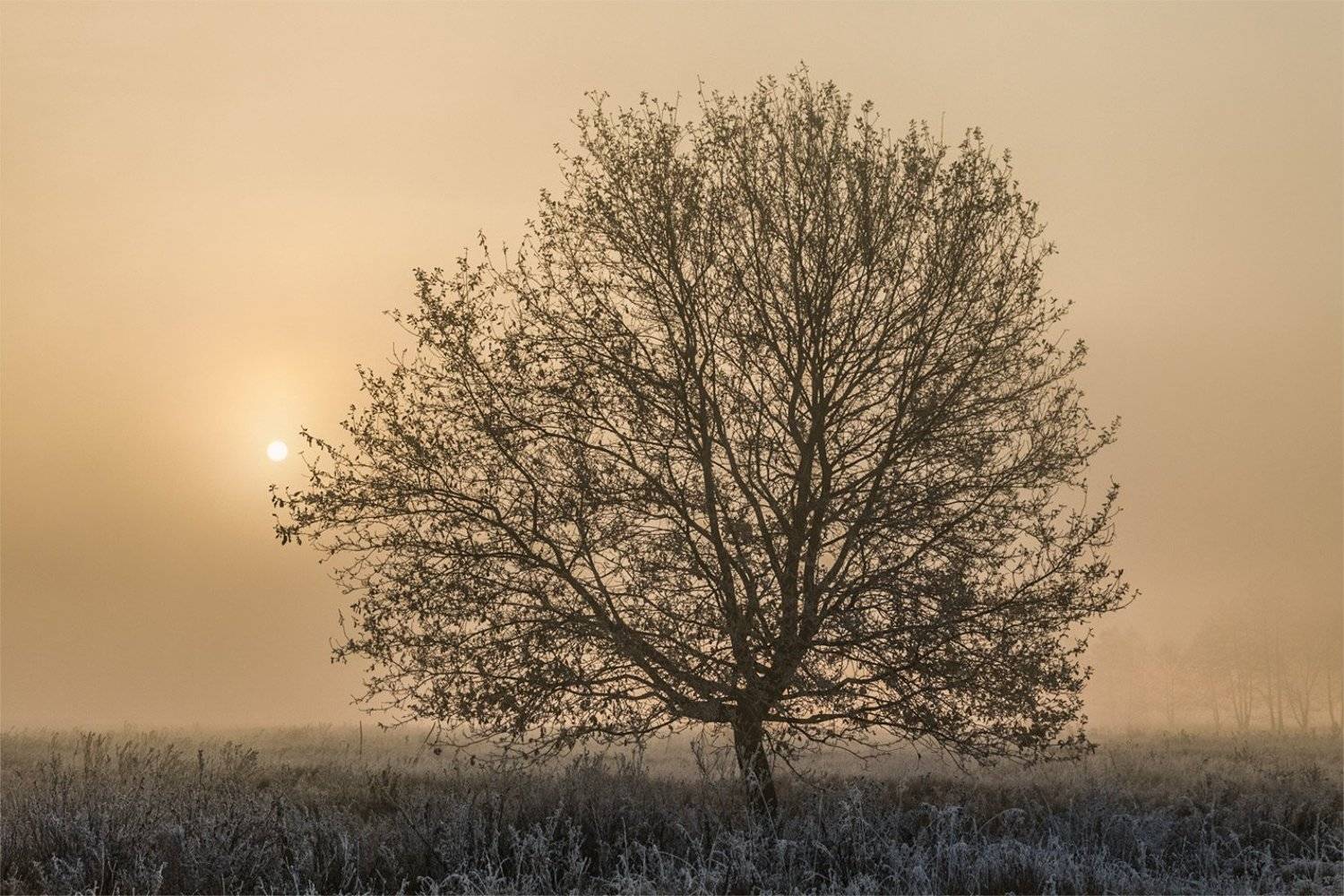 , Владимир Костылев