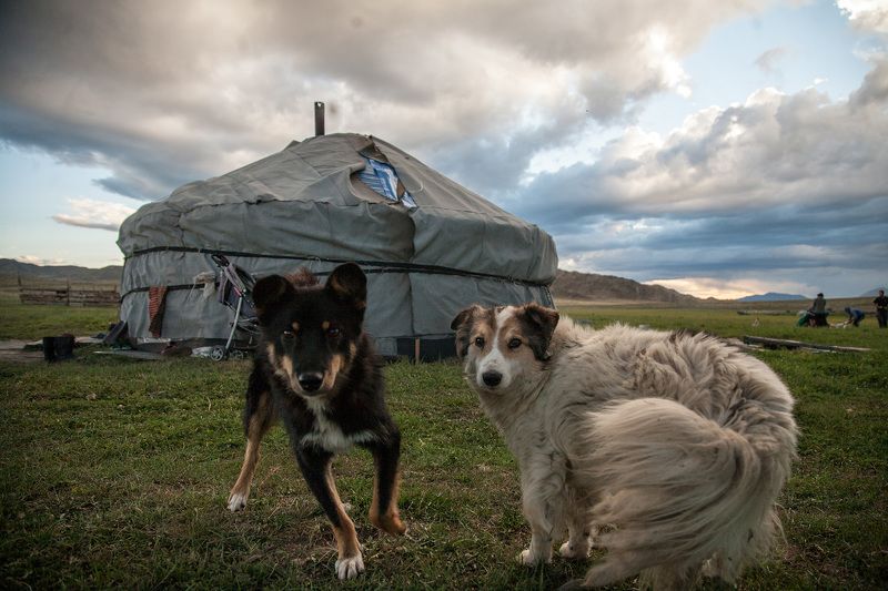 folio фото превью