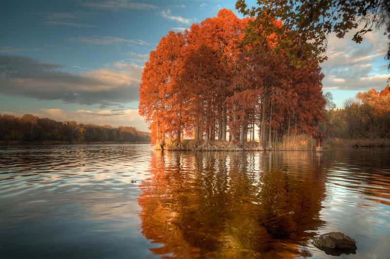 *** фото превью