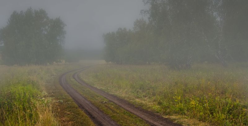 лес, туман Настроение фото превью