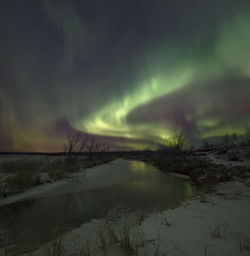 Aurora Borealis
