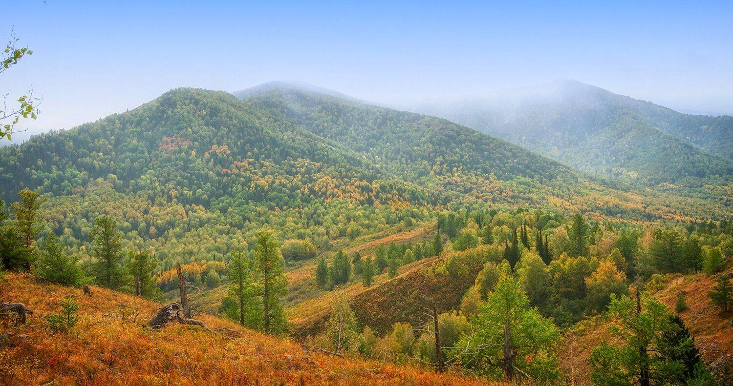 тигирек, алтай, сибирь, Ruslan