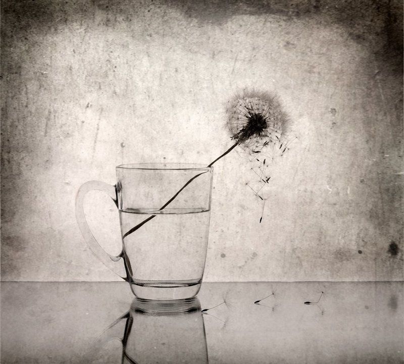 *** фото превью