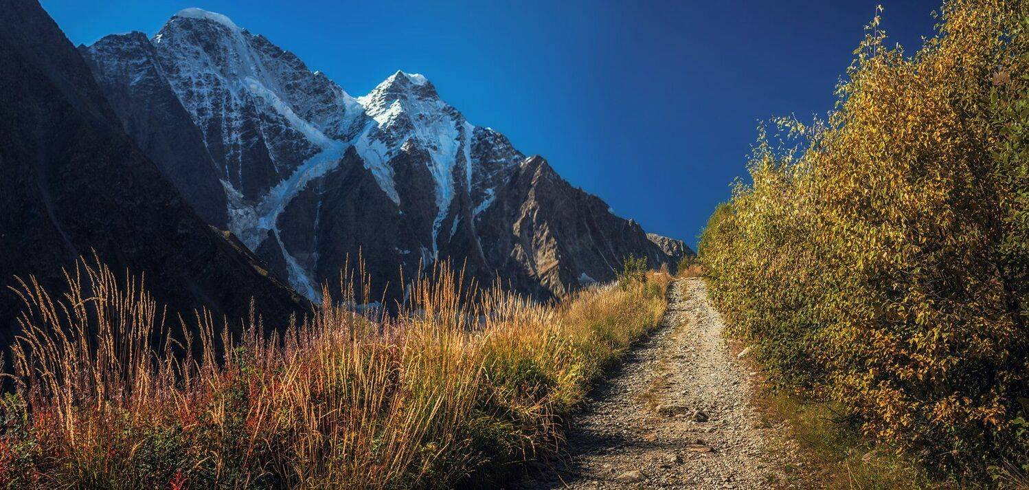 , Игорь Мелекесцев