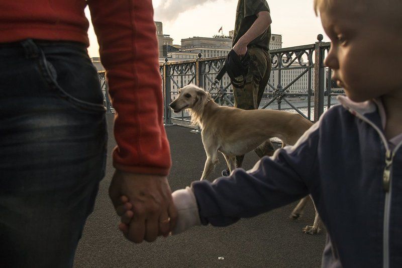 фото превью