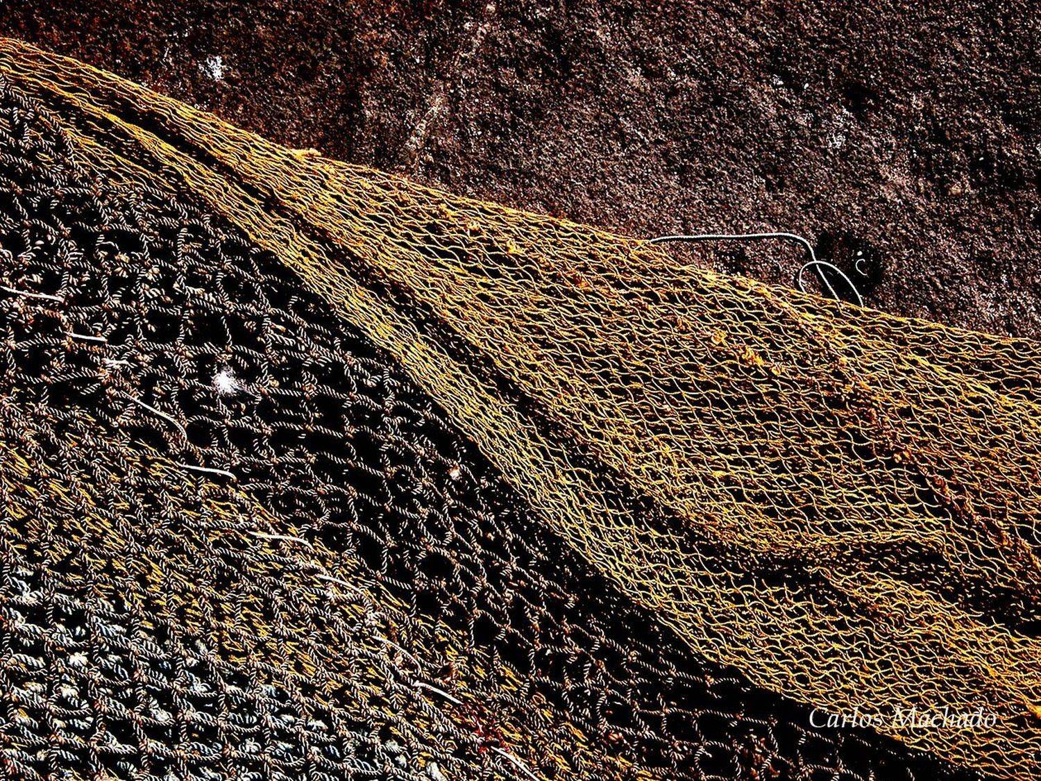 macro, urban, still life, Carlos Machado