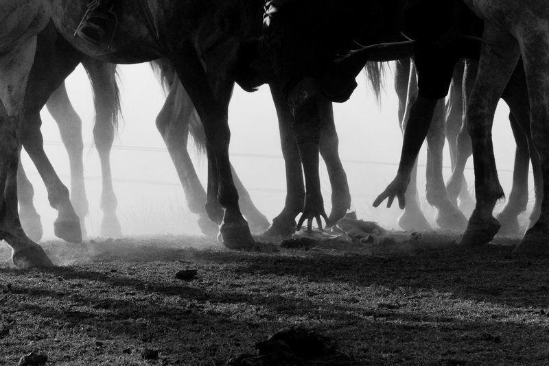 узбекистан, улак, бельдерсай, лошадь Горный Улак фото превью