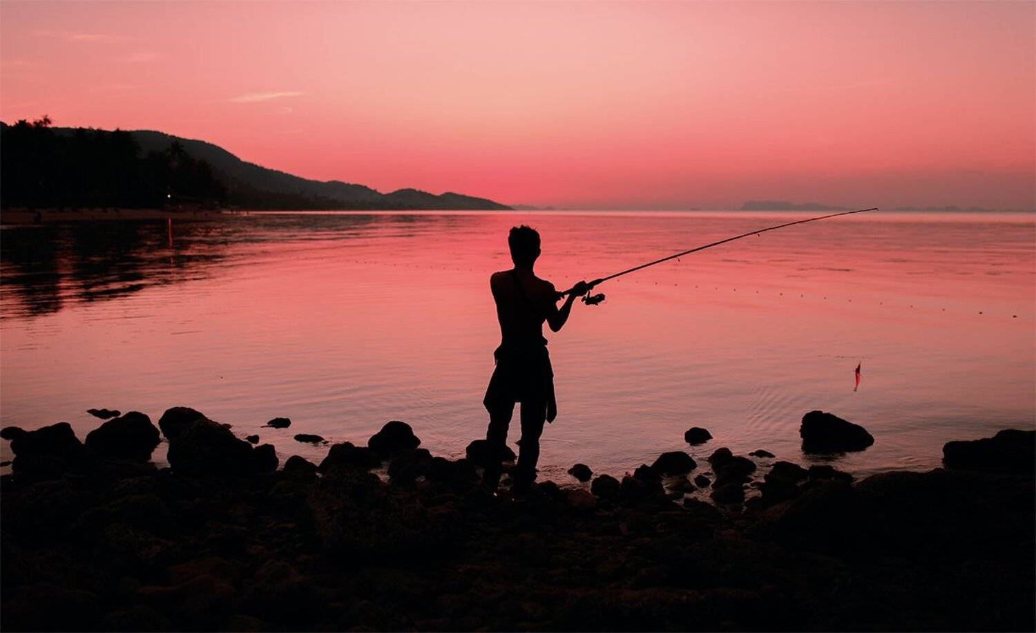 , Игорь Бурба