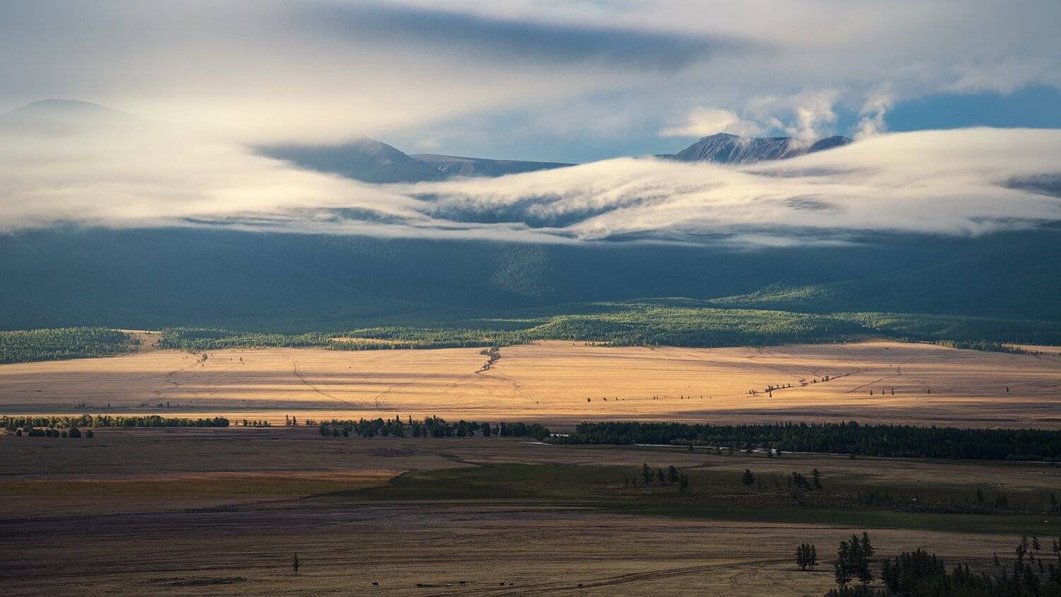 пейзаж, природа, степь, долина, горы, туман, облака, высокий, большой, красивая, утро, Дмитрий Антипов
