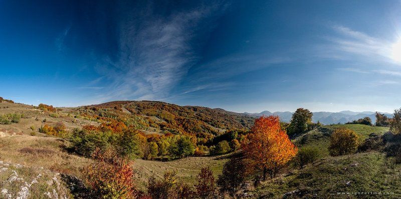 autumn фото превью