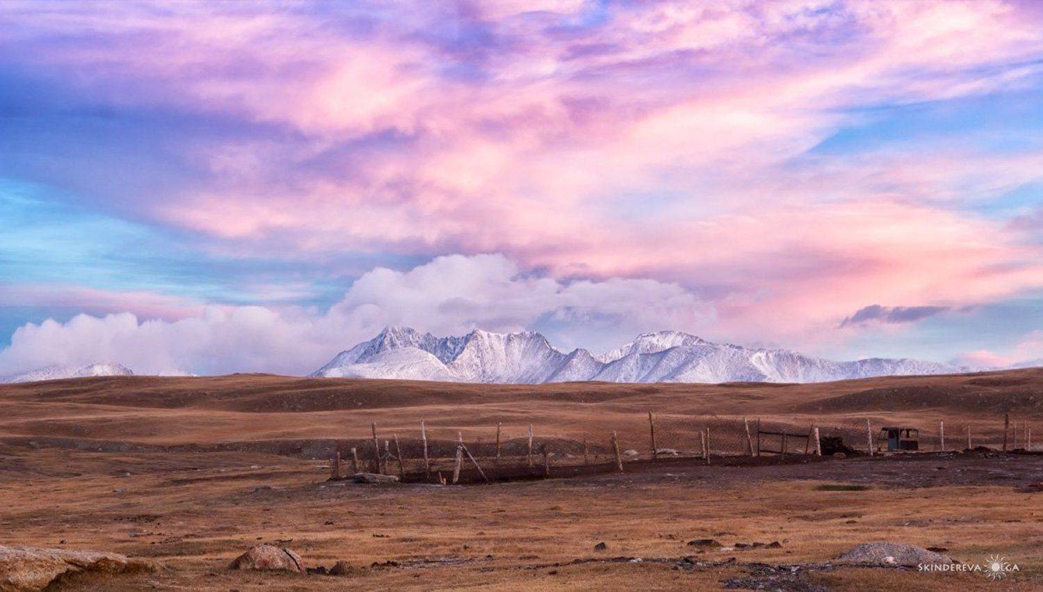 , Скиндерева Ольга