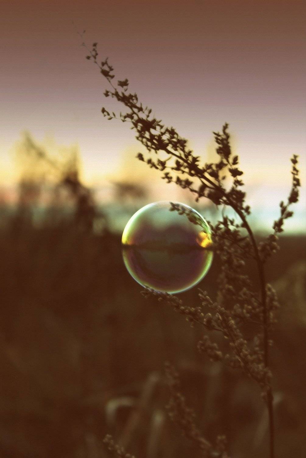 , Оксана Коновалова