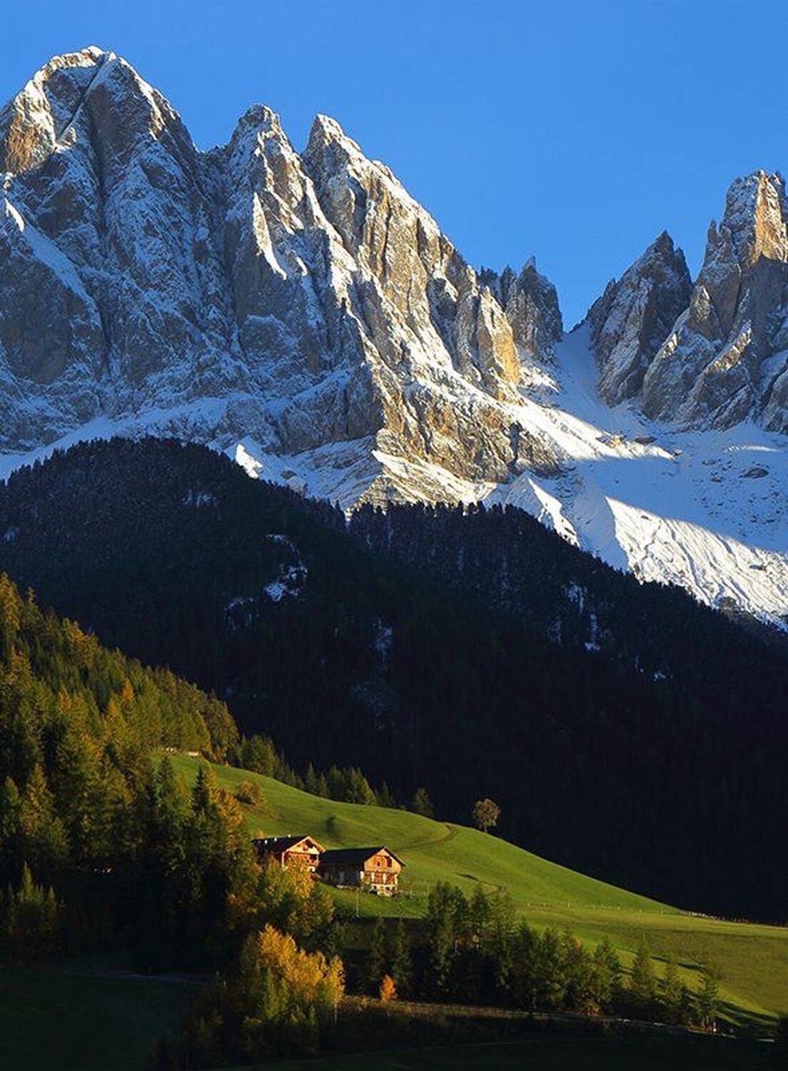 , Игорь Дубровский