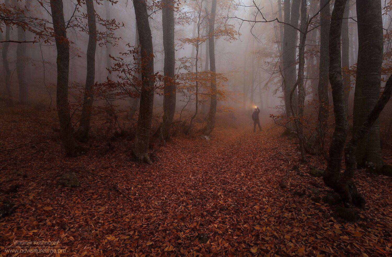 , Vladimir Kushnarev