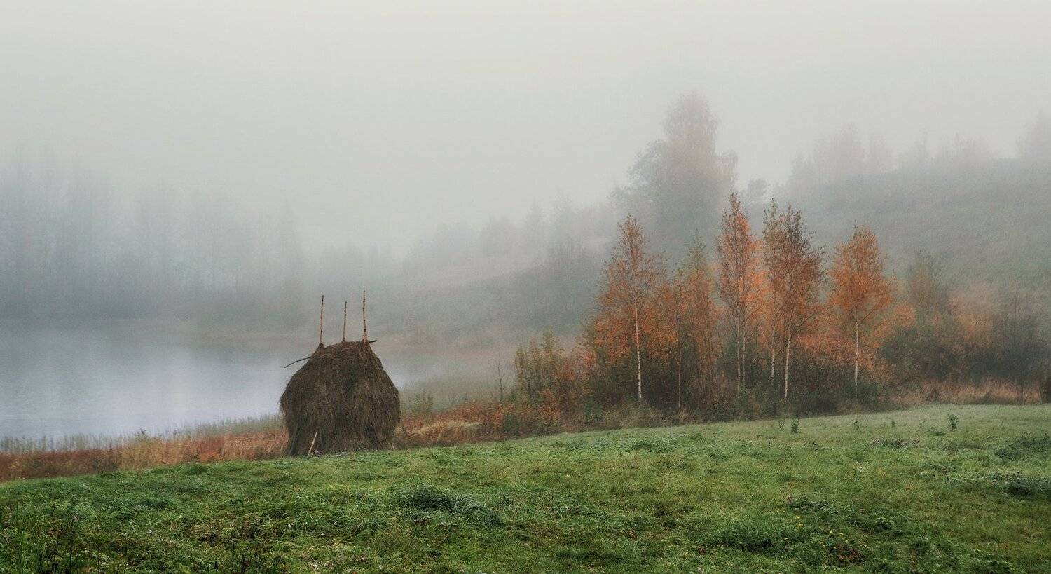, Владимир Липецких