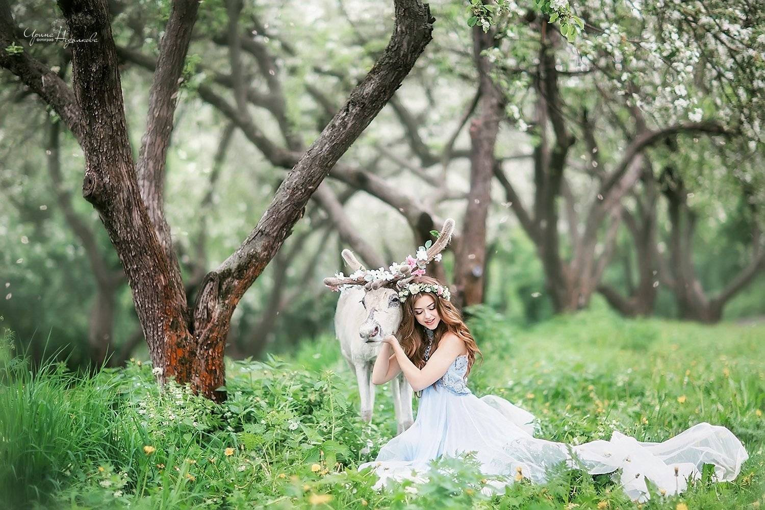 , Ирина Недялкова