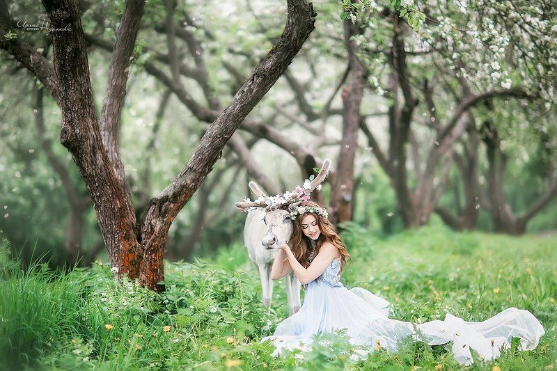 фото превью