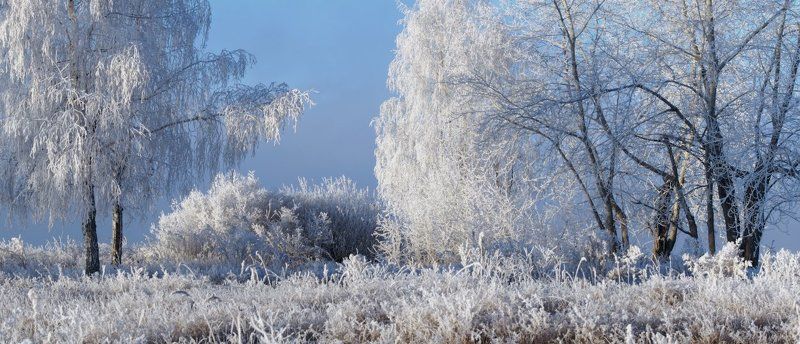 ноябрь Посеребрило фото превью