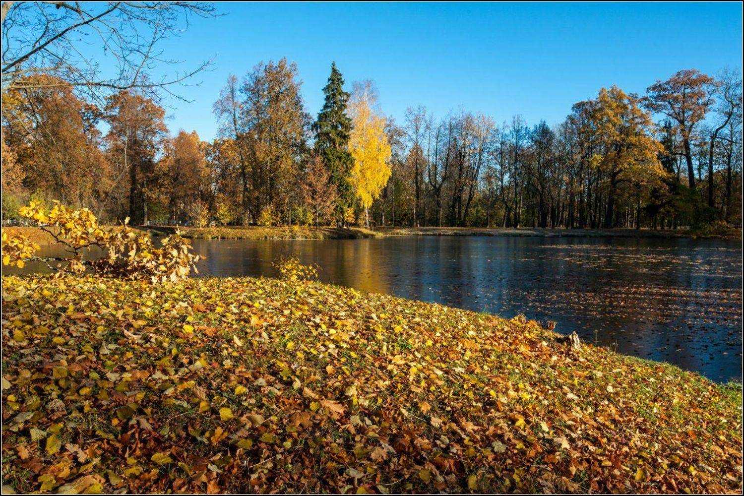 , Cмирнов Юрий