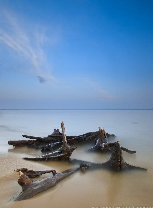 Рыбинское, Ярославская область, Алексей Лобанов