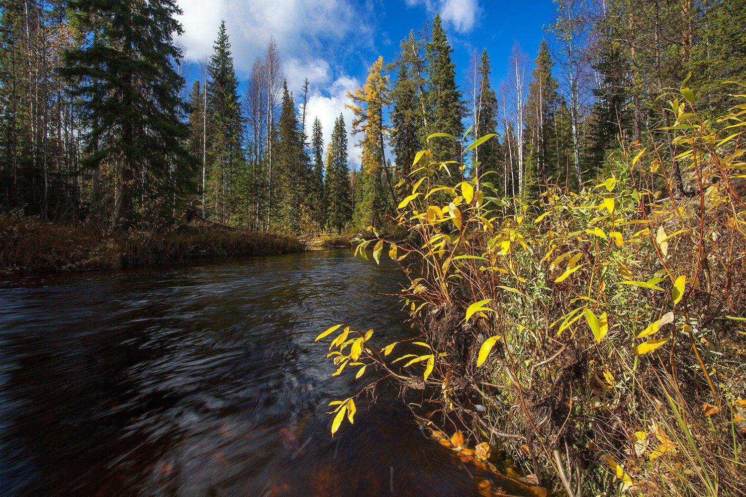 , Поташев Александр
