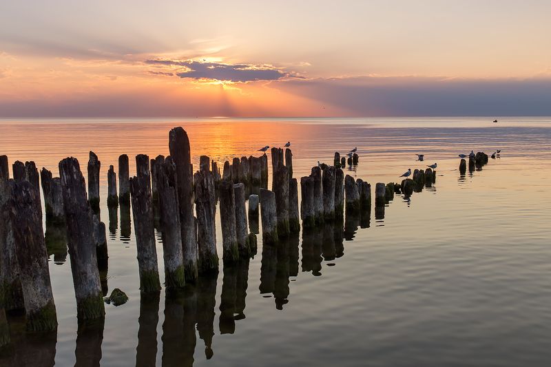 летний вечер фото превью