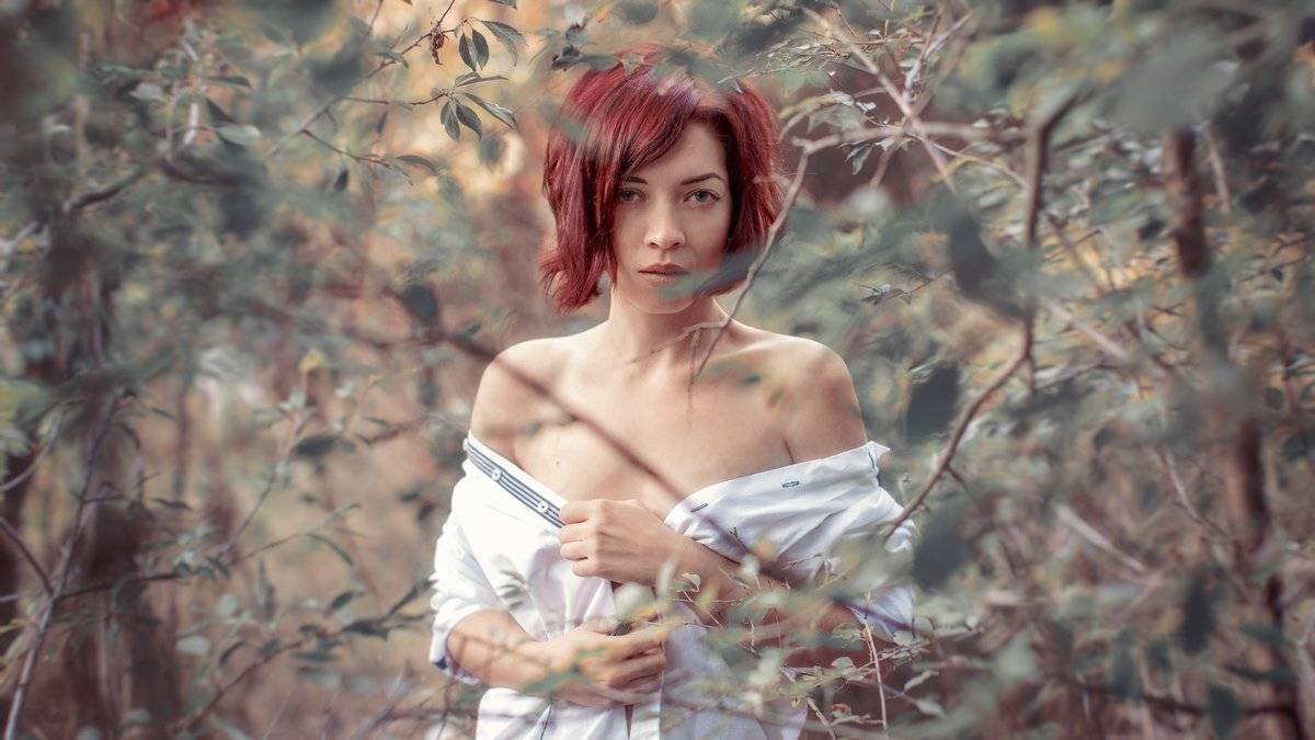 , Владимир Осауленко