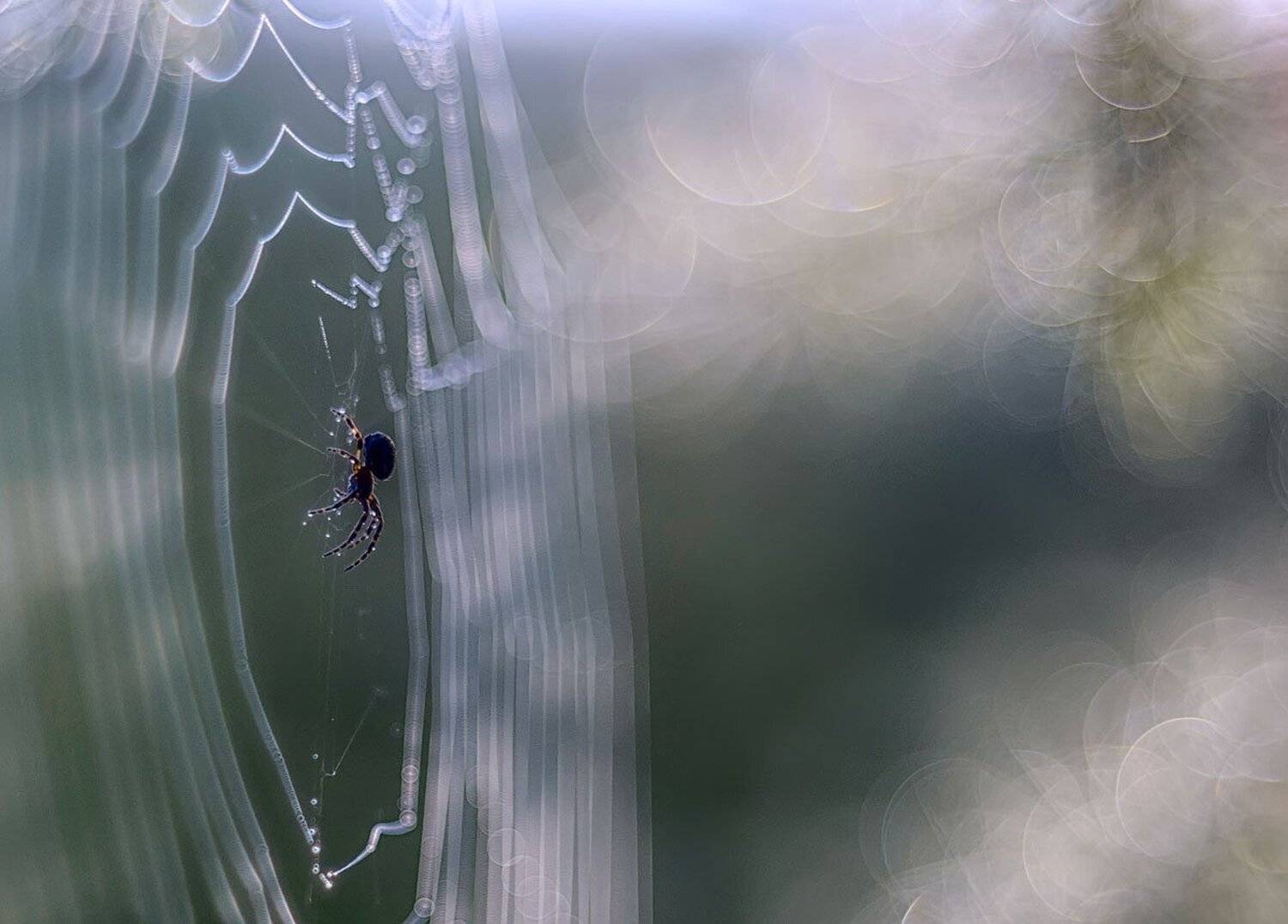 , Сергей Брагин
