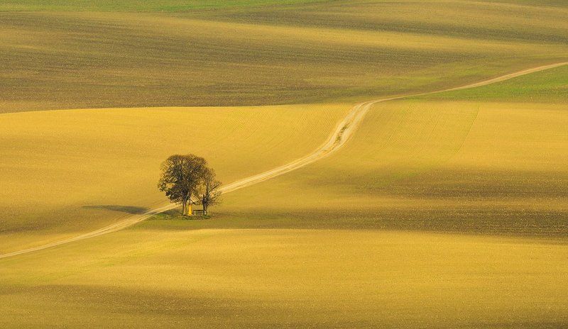 The Road фото превью