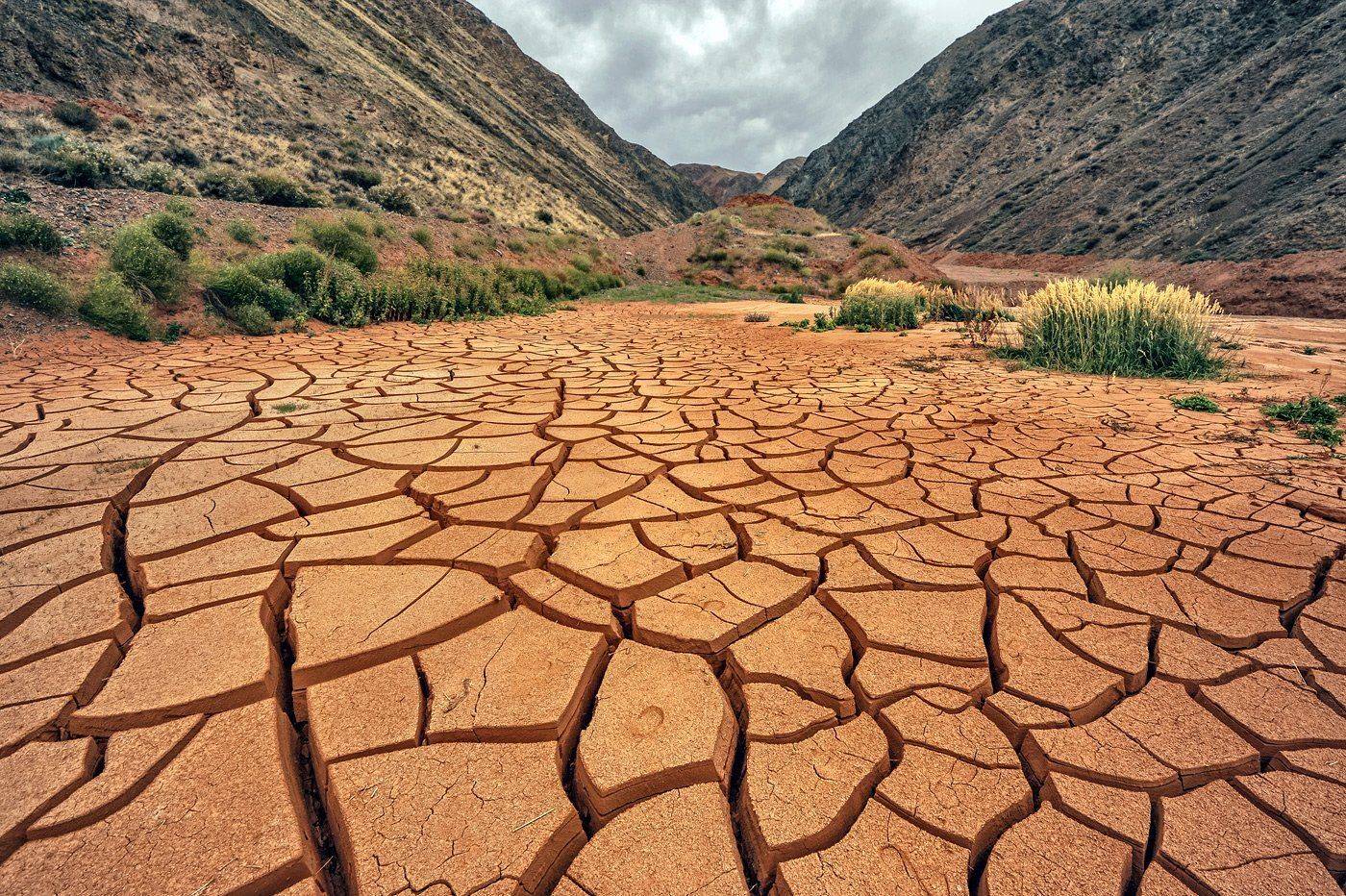 , Борис Пирог