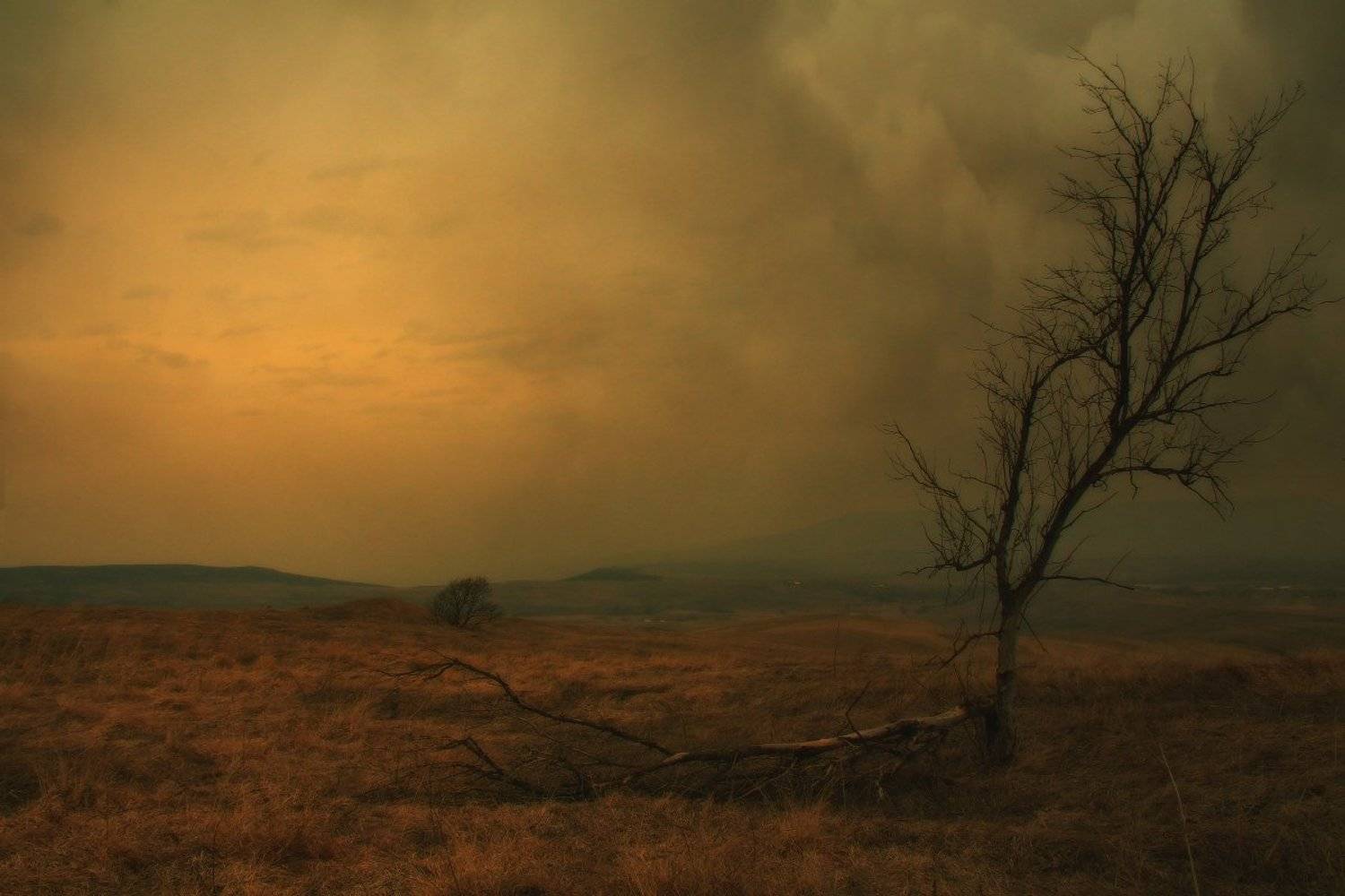 , Михаил  Пилипенко