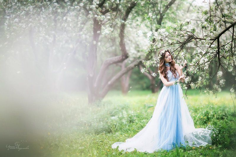 фото превью