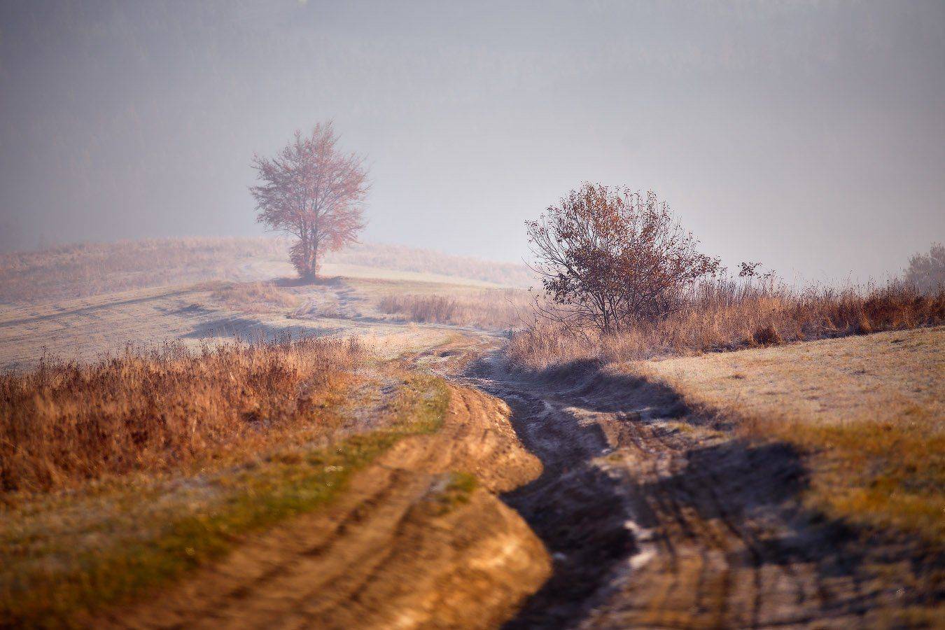 Карпаты, Ноябрь, Осень, Украина, Утро, Вейзе Максим