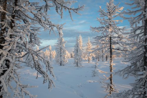 Ноябрьский закат