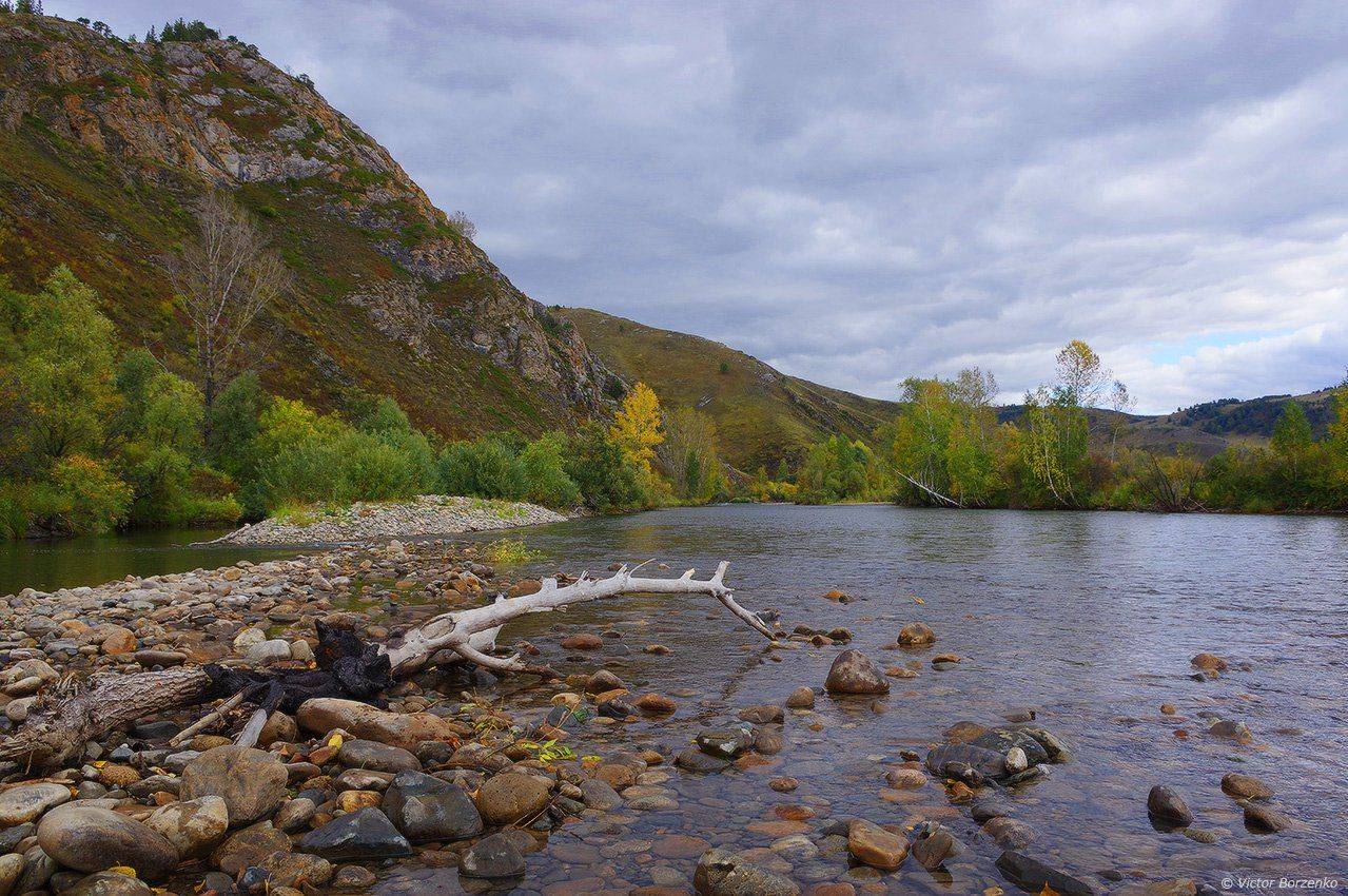 алтай, иня, чарыш, Виктор Борзенко