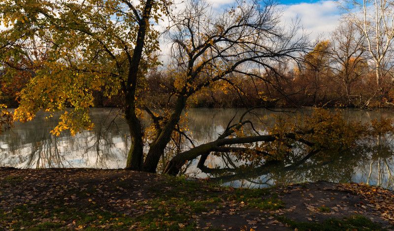Осеннее утро фото превью