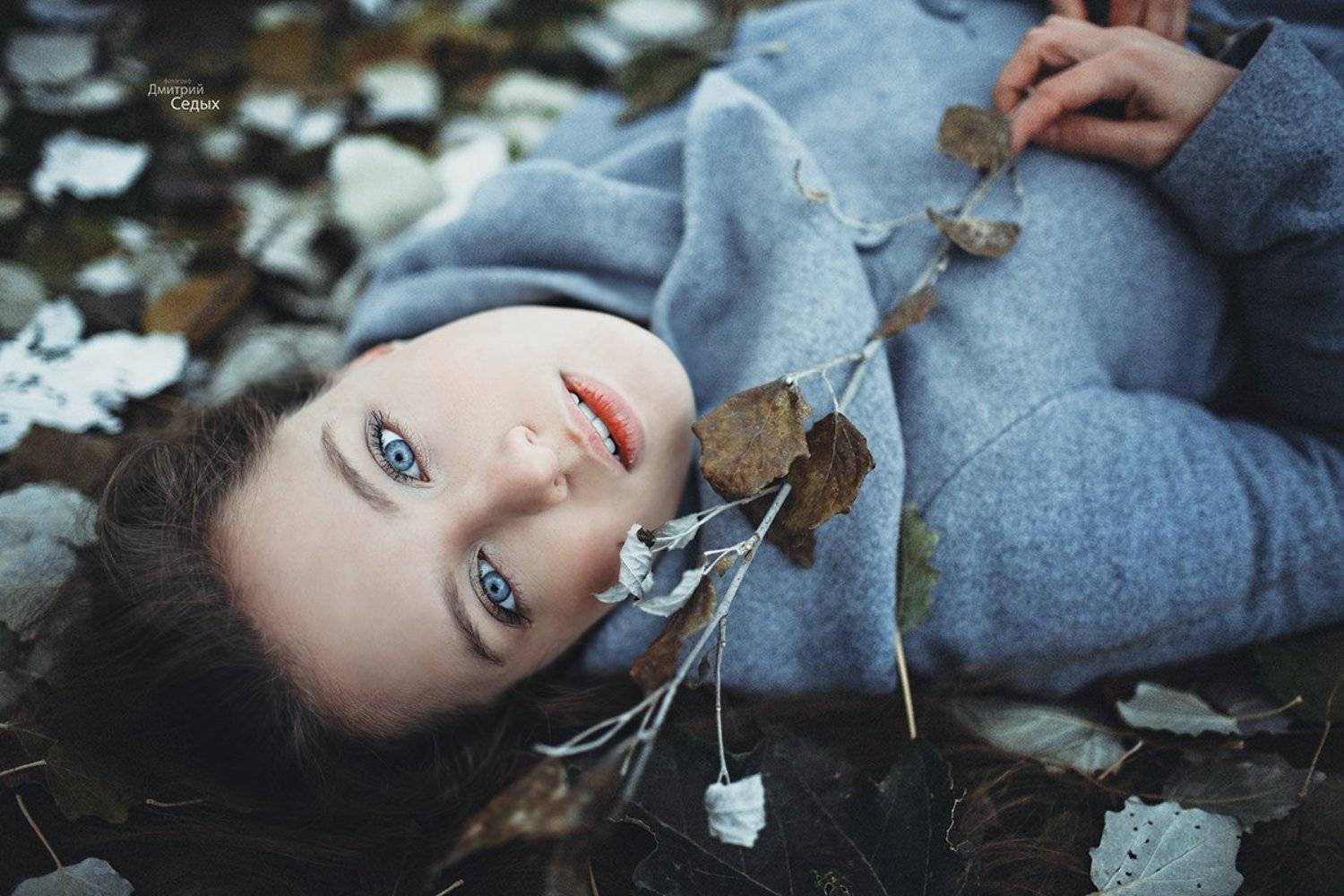 , Седых Дмитрий