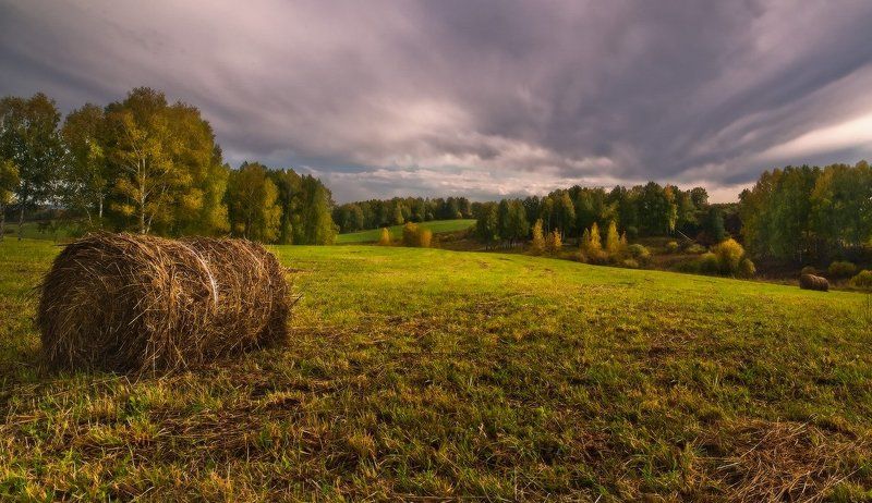 Поле, Сенокос Вспоминая сенокос фото превью