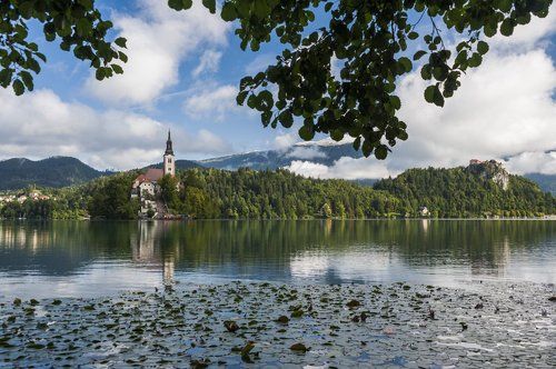 Блед открыточный