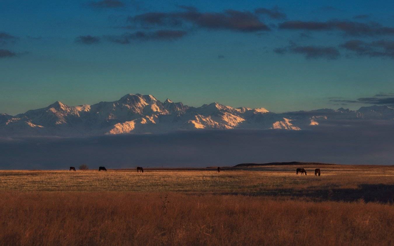 Вечер, Горы, Заилийский алатау, Лошади, Талгар, Ольга Кулакова