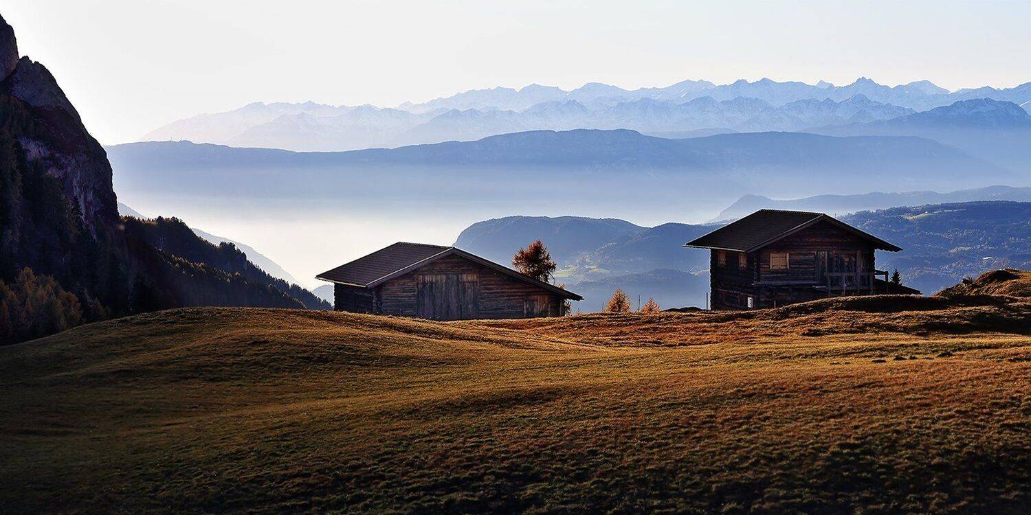 , Игорь Дубровский