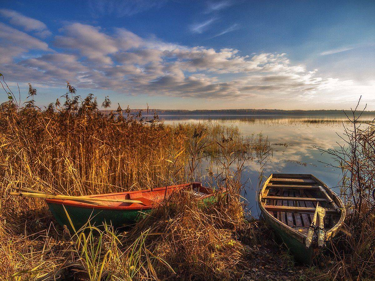 , Марина Брыдня