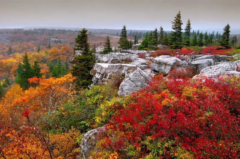 Dolly Sods Autumn фото превью